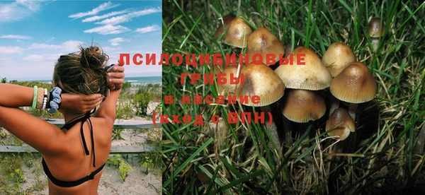 хмурый Зерноград