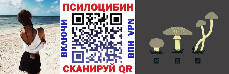 Купить где  Высоковск  Галлюциногенные грибы Psilocybine cubensis 